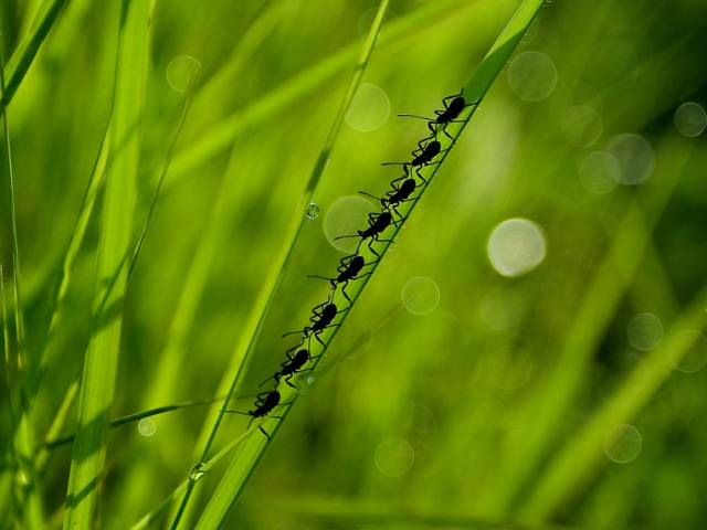 سمینار حضوری 